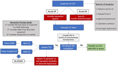 Systems of Care in Cardiogenic Shock